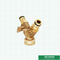 ফ্লো নিয়ন্ত্রণ করে গার্ডেন পায়ের পাতার মোজাবিশেষ পাইপ ফিটিং টাইপ ওয়াই বল ভালভ