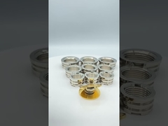 PPR ফিটিং ফিমেল ব্রাস ইনসার্ট জার্মানি ডিজাইন লাইটার টাইপ