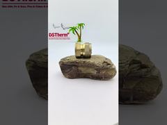 পাইপলাইন মহিলা কাপলিং PEX ব্রাস ফিটিংস SS টিউবের জন্য